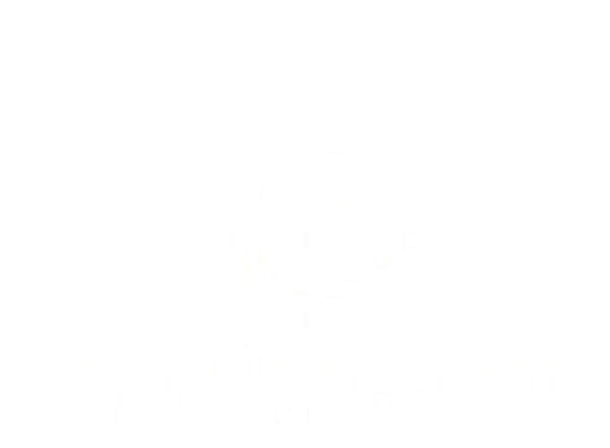 Nano Cleanse Ltd logo